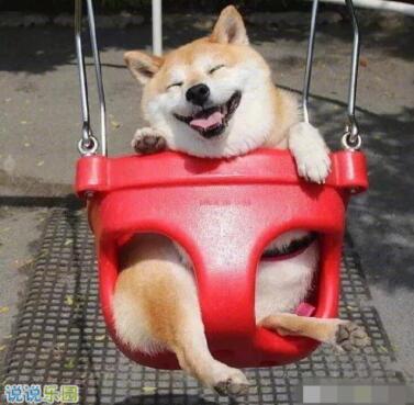 空降搞笑图片,欢乐满溢的瞬间捕捉