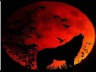 娱乐之契约笔记侠客网,侠客网演绎娱乐新篇章