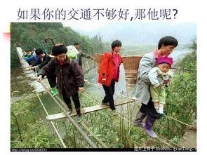 为了生活图片,捕捉日常美好瞬间